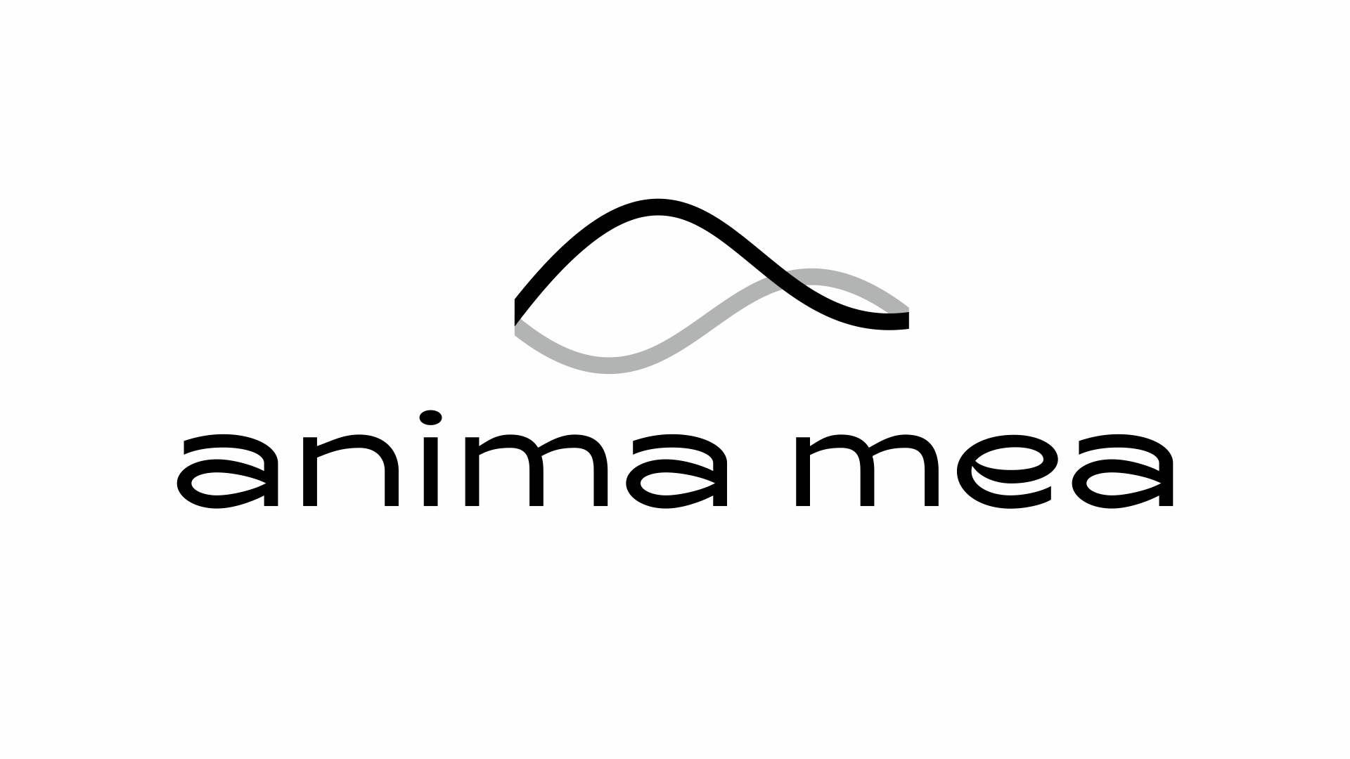 Anima Mea – zespół wokalny